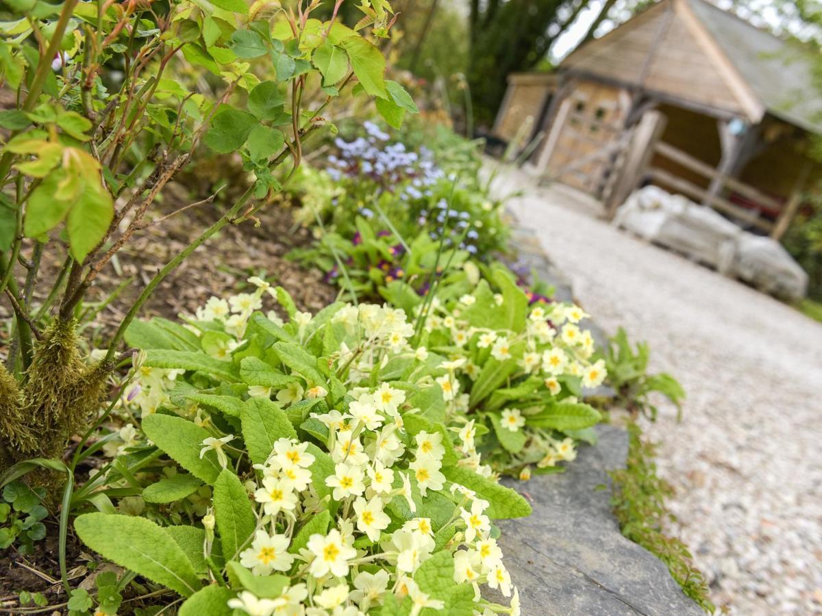 Mimi'S Cottage Liskeard Exterior photo